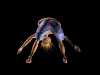 Fat Guy Dancing AVI created by Jim Biebl, Gaviota Graphics